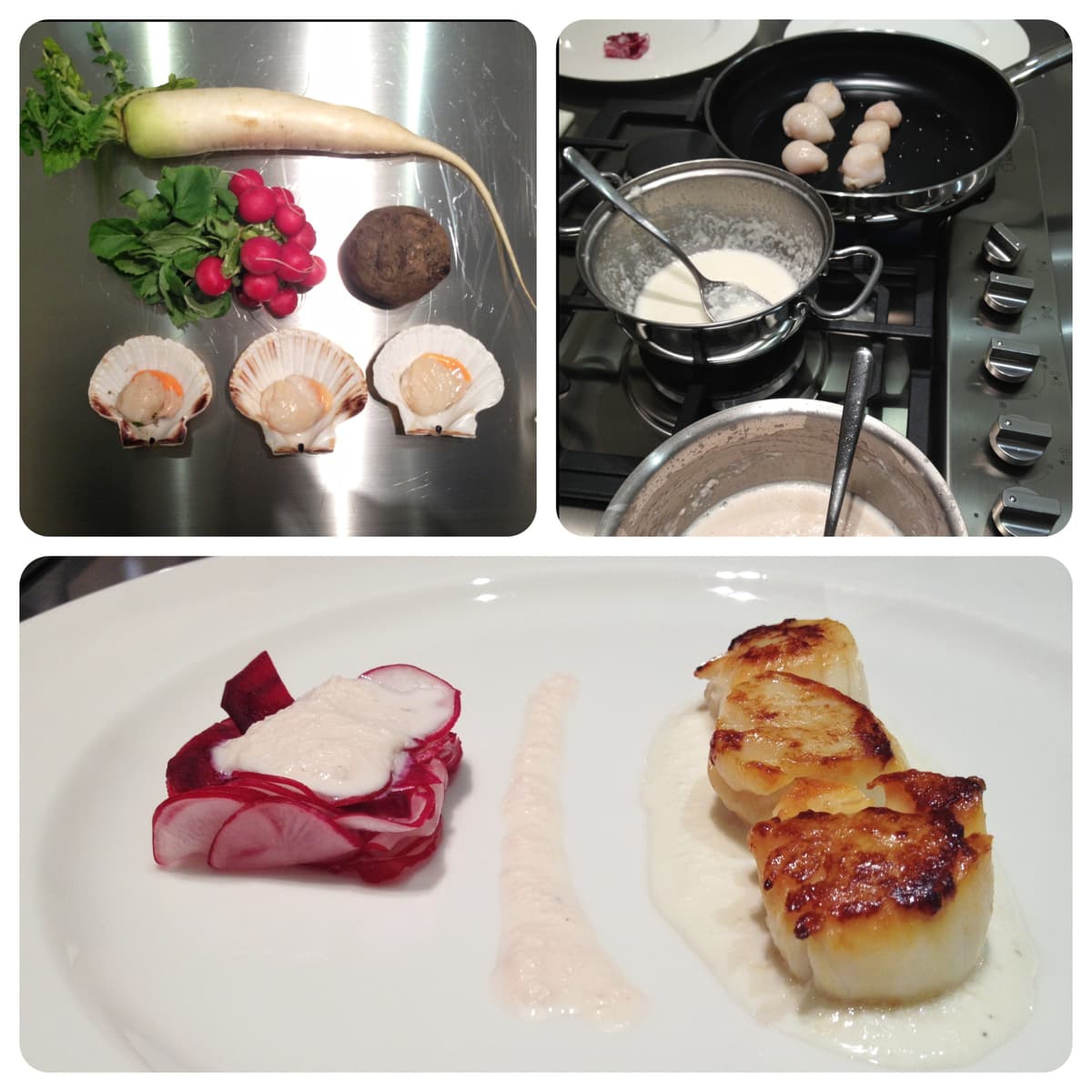 Capesante con varietà di radici