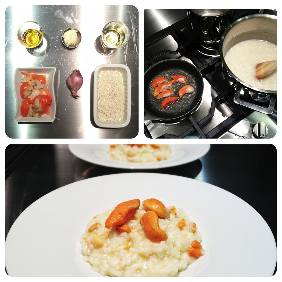 Risotto con coralli di capesante