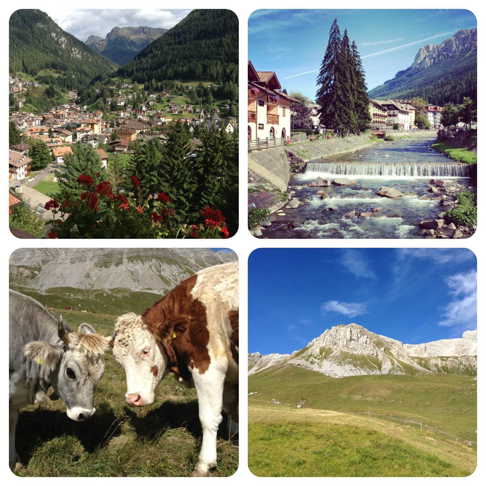 A Moena con #bloggerWEmoena assaporando nuvole e cielo