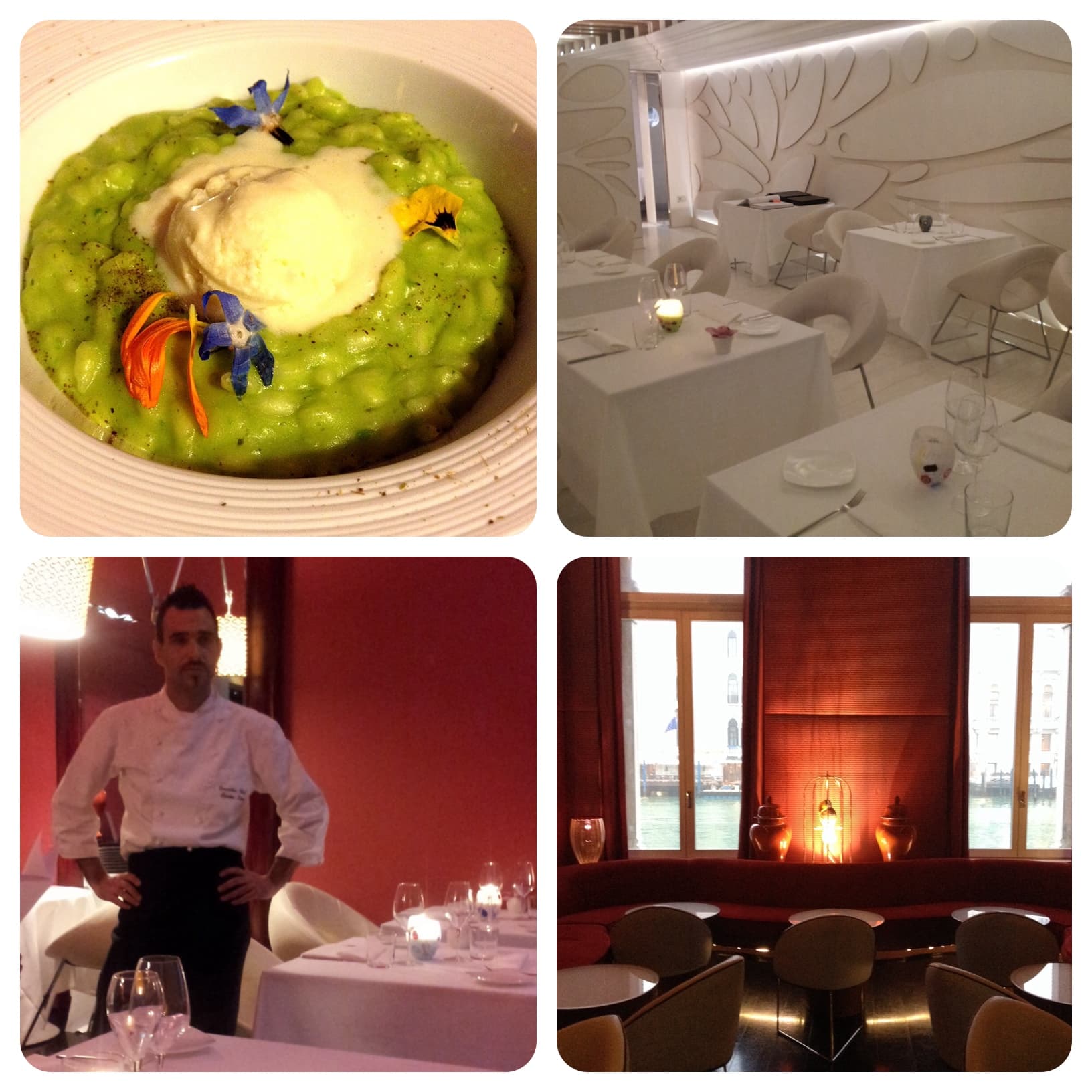 Un posto da non perdere a Venezia se adori il design e l’alta cucina