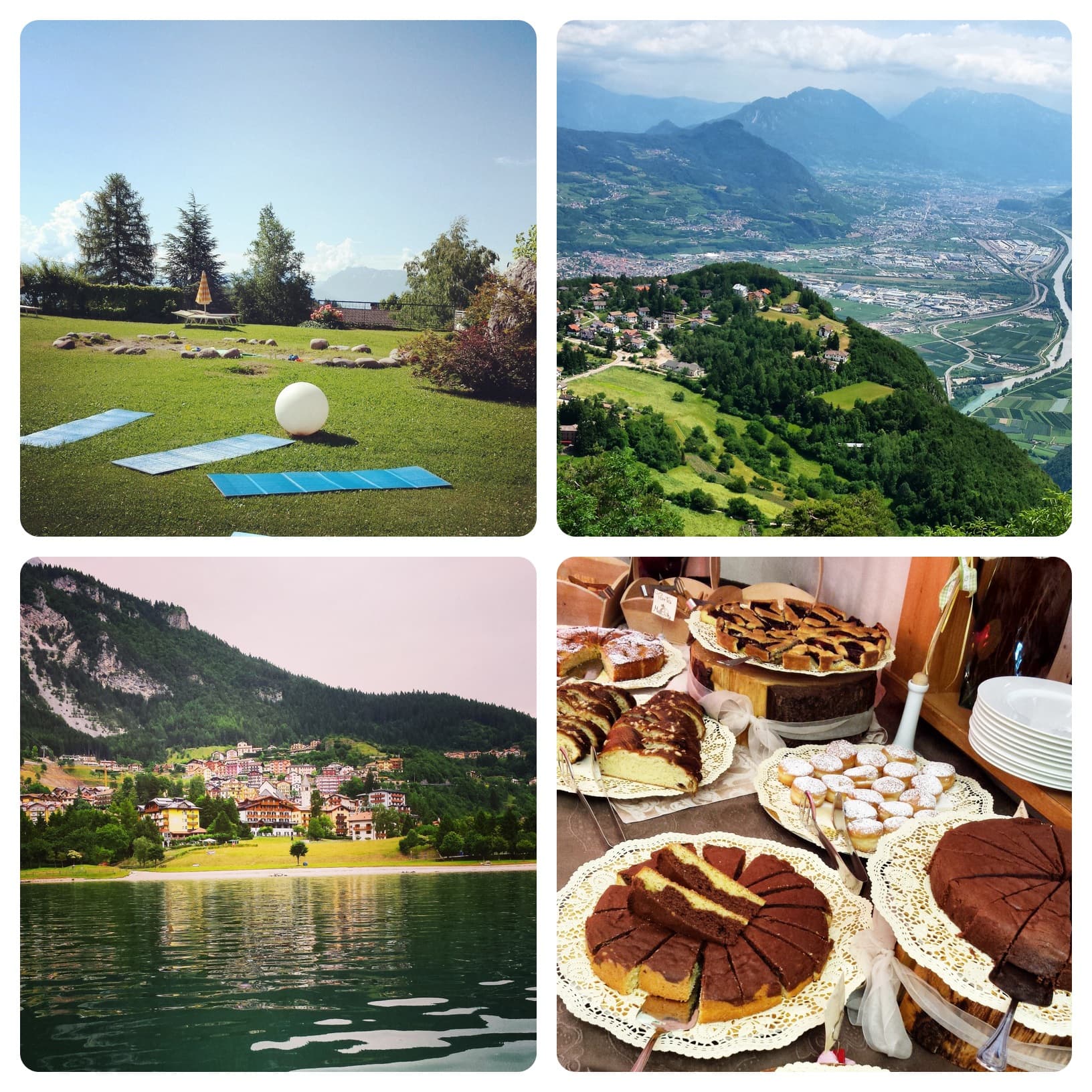 Paganella. Dove si riproducono gli orsi… ma anche le farfalle non scherzano #paganelladaurlo