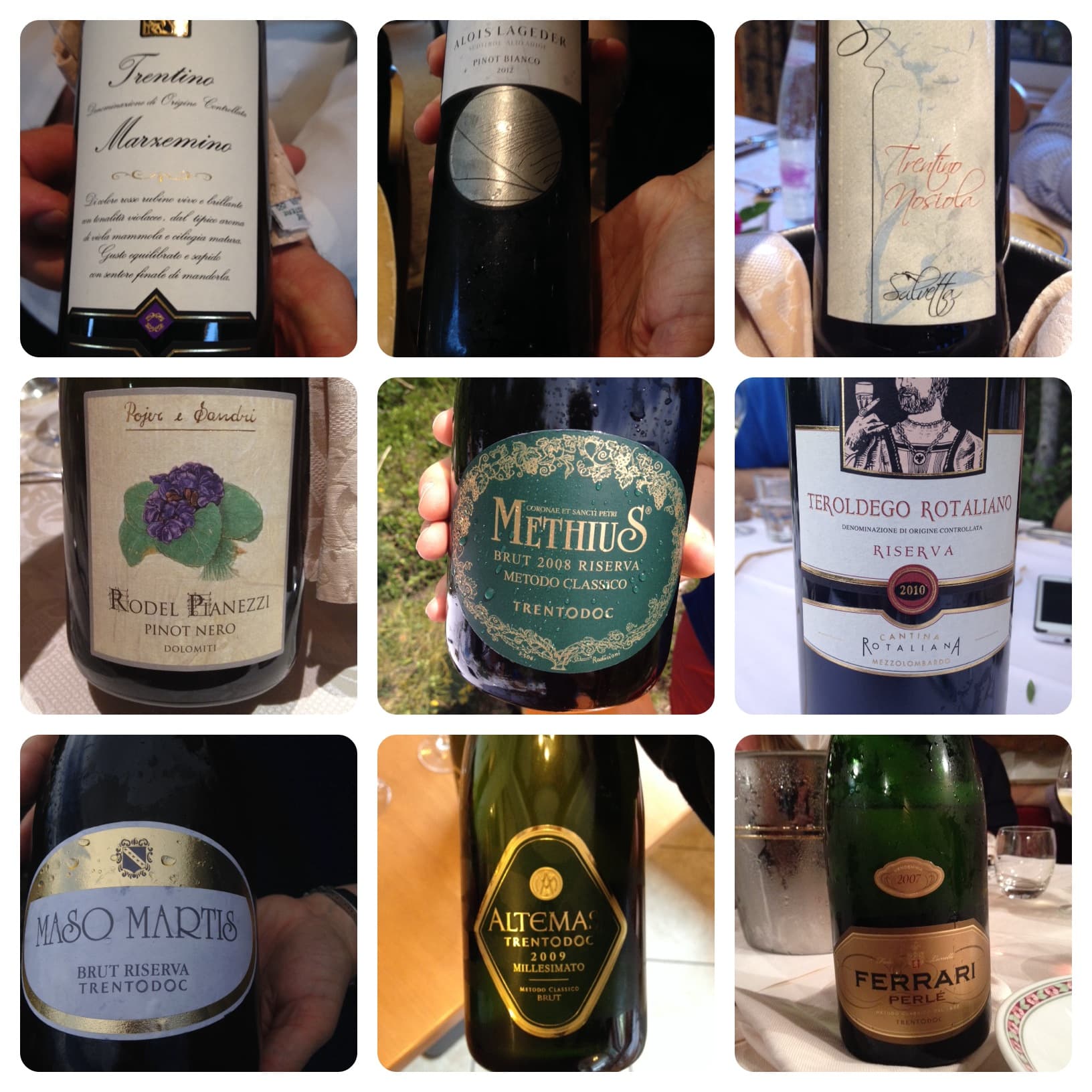 Vini del Trentino