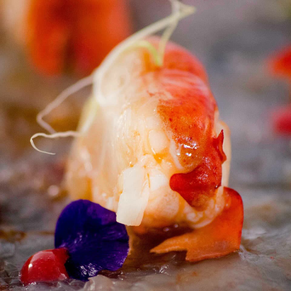 Massimo Livan – Consistenze d’astice: crudo, cotto aromatizzato allo zenzero  ed essiccato con salsa ai lamponi e sale Maldon