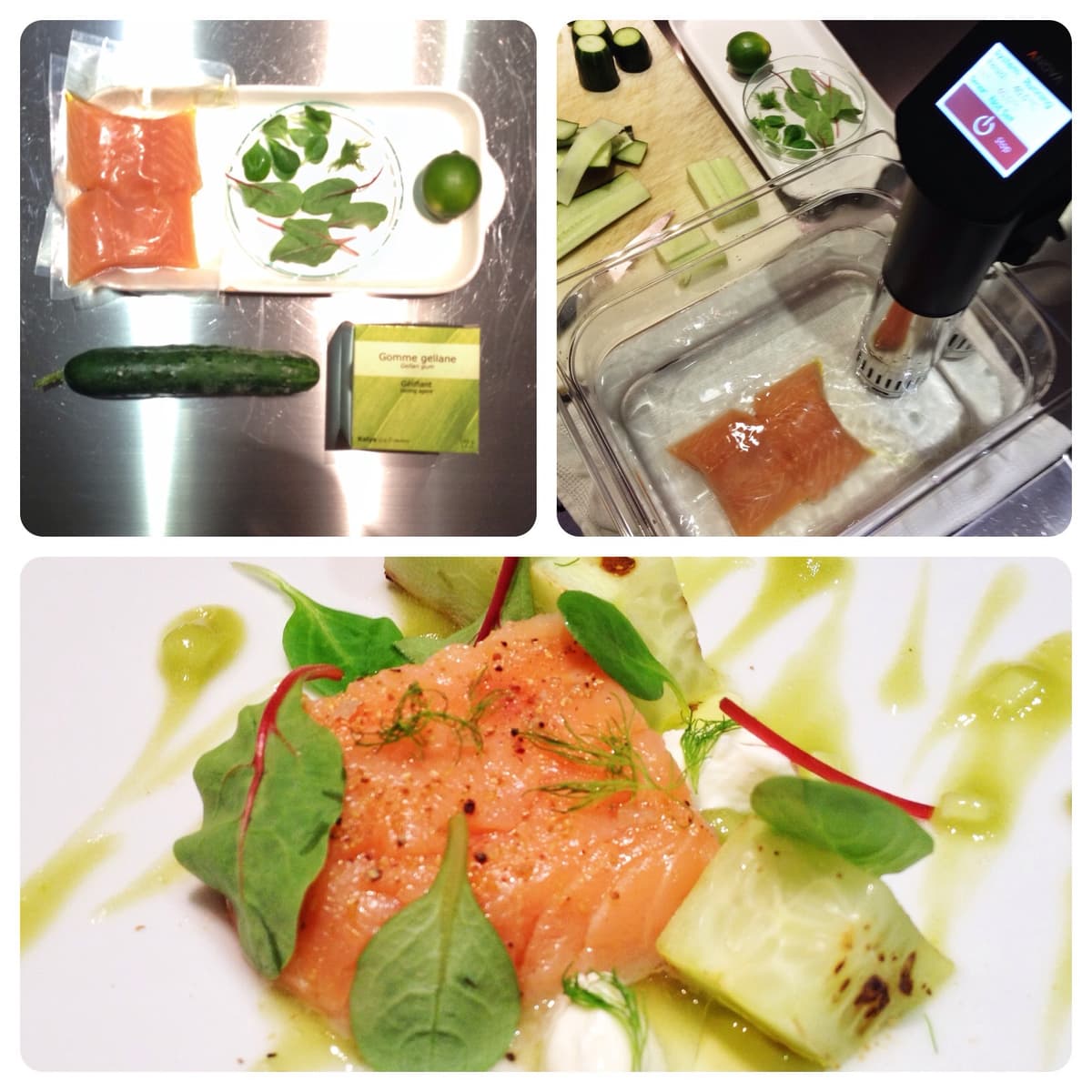 Salmone e cetriolo arrostito