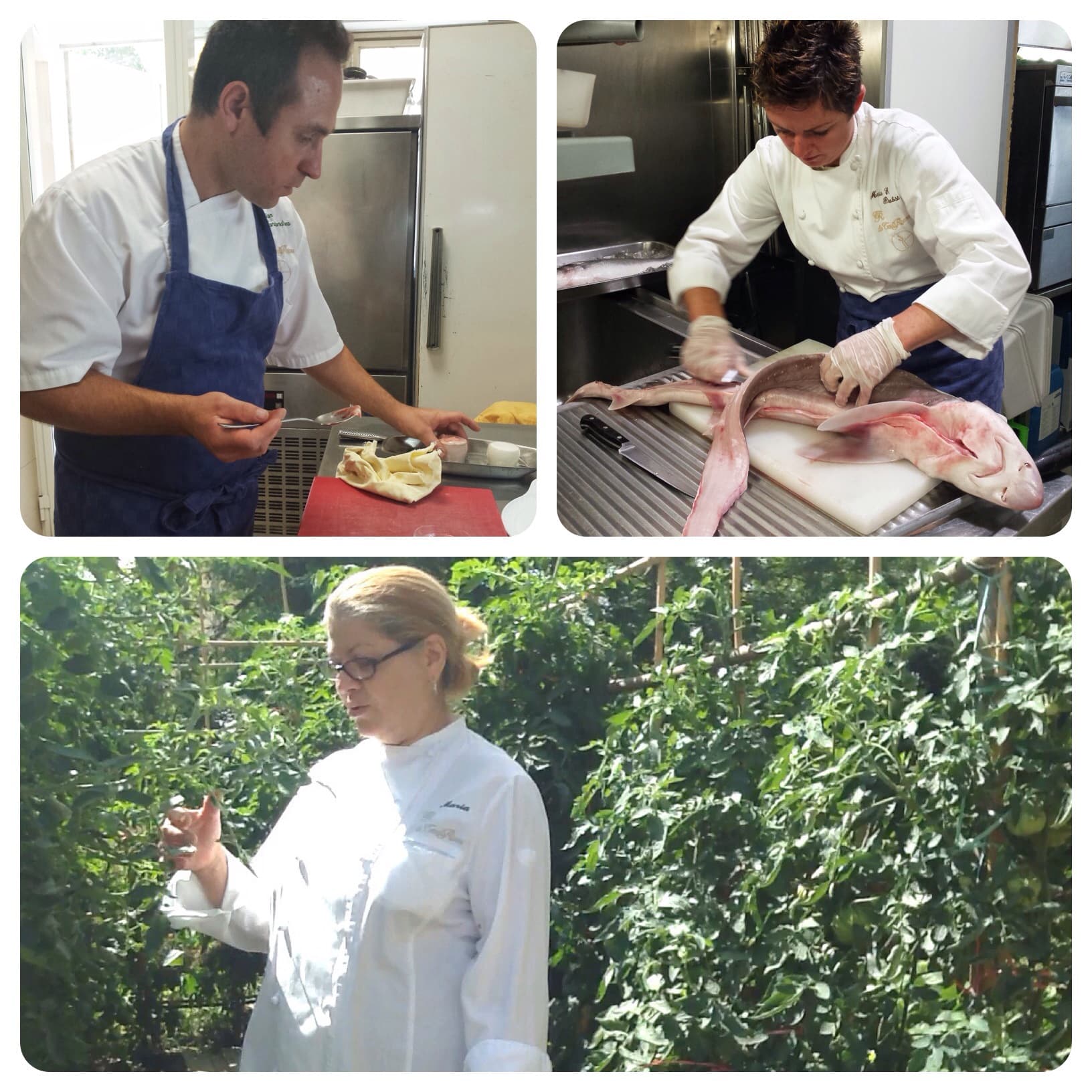 La Tenda Rossa. Quando il successo è una questione di famiglia