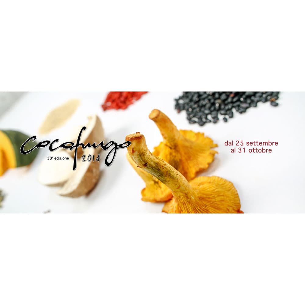 Cocofungo 2014 – dal 25 settembre al 31 ottobre