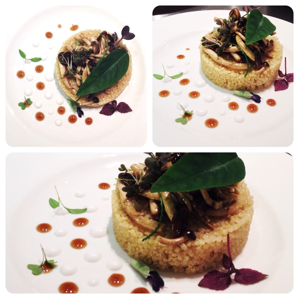 Quinoa con funghi, cocco alla vaniglia, gastrique alla cola