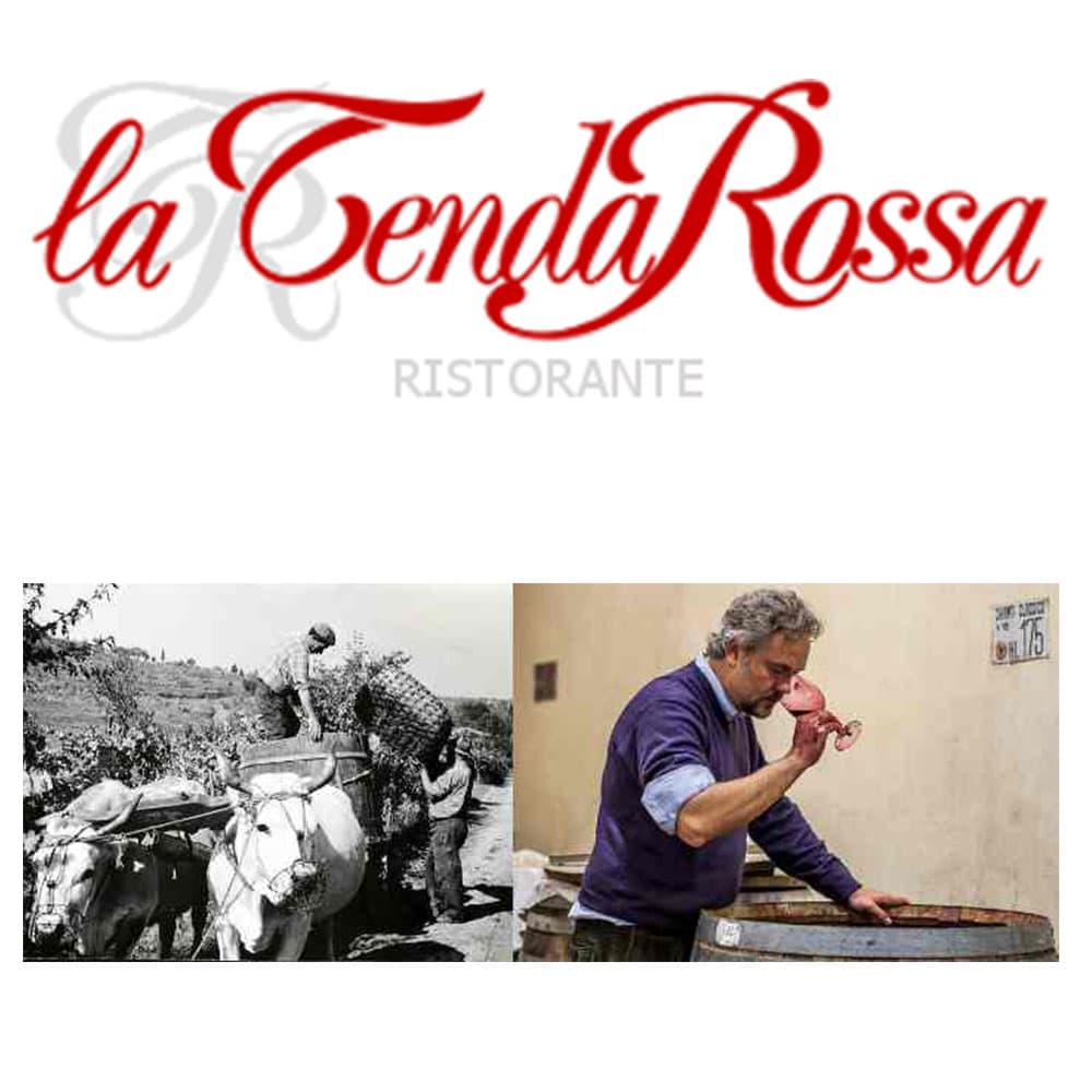 Seminario storico-degustativo Villa Calcinaia – La Tenda Rossa – 12 dicembre