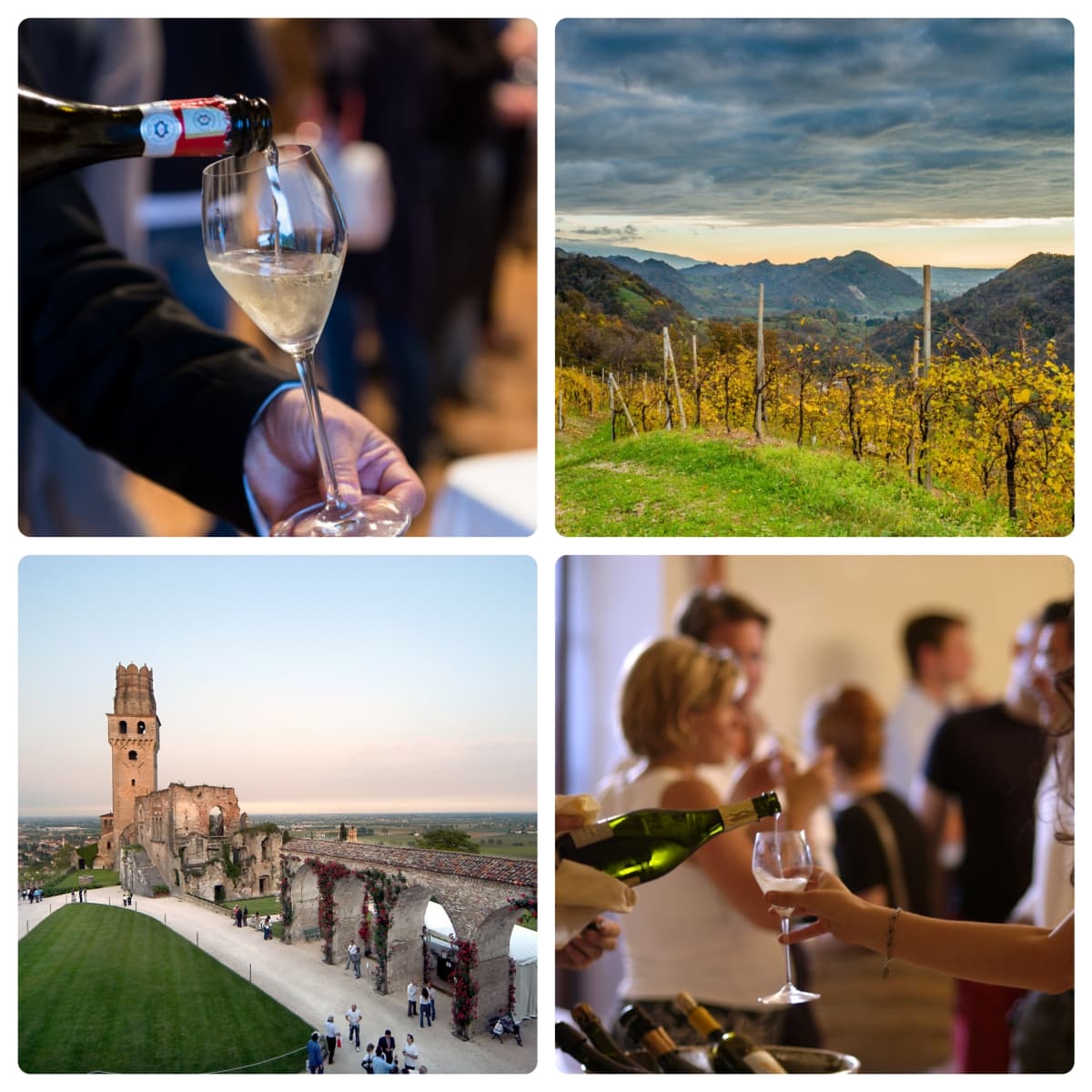 Vino in Villa – 14-17 maggio – Conegliano, Pieve di Soligo, Valdobbiadene, Susegana