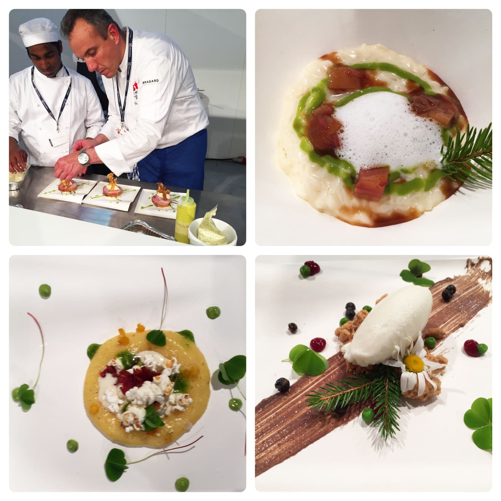 Paolo Donei al Taste of Milano. Boschi e prati la mia fonte di ispirazione