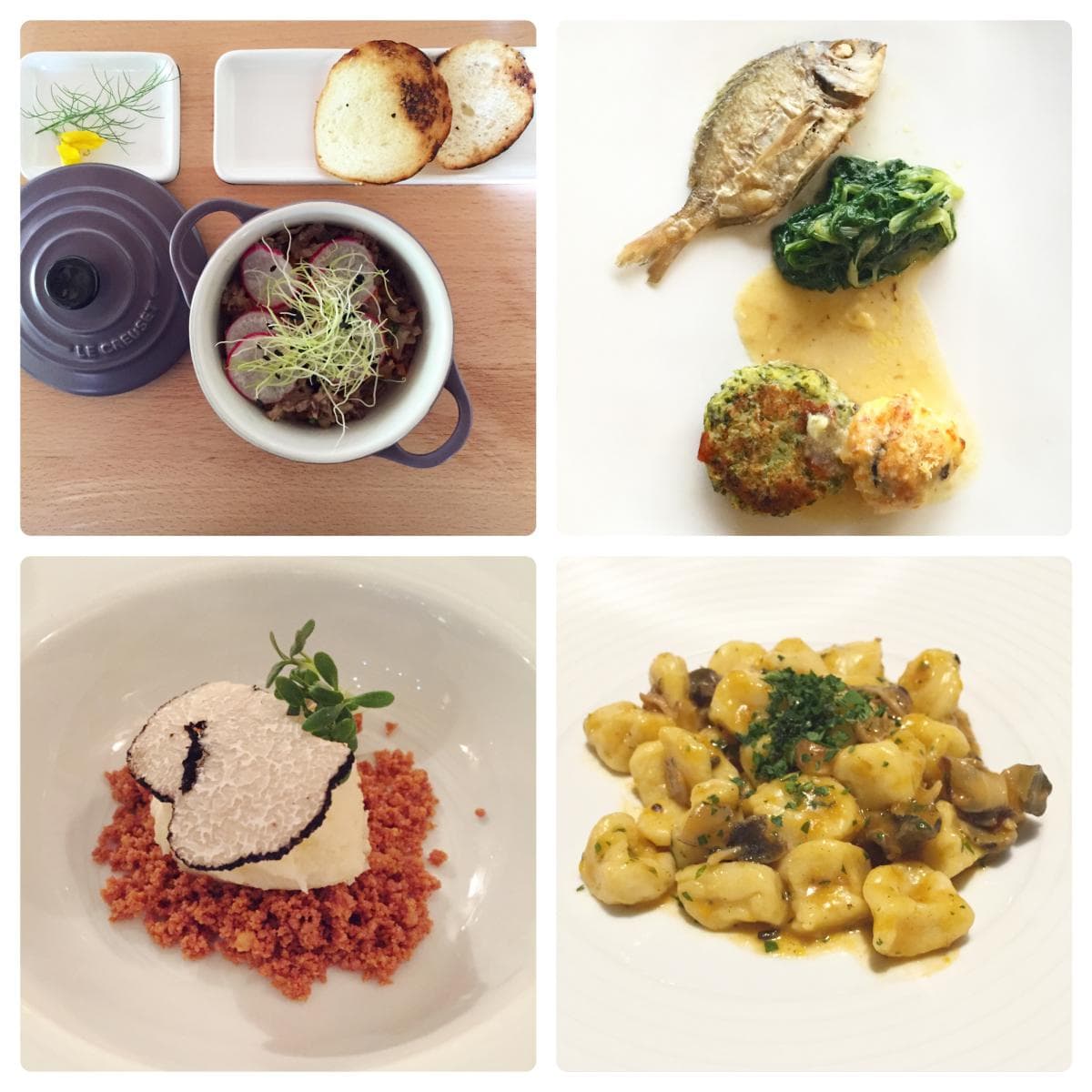 8 ristoranti e 2 konoba da non perdere se visiti l’Istria