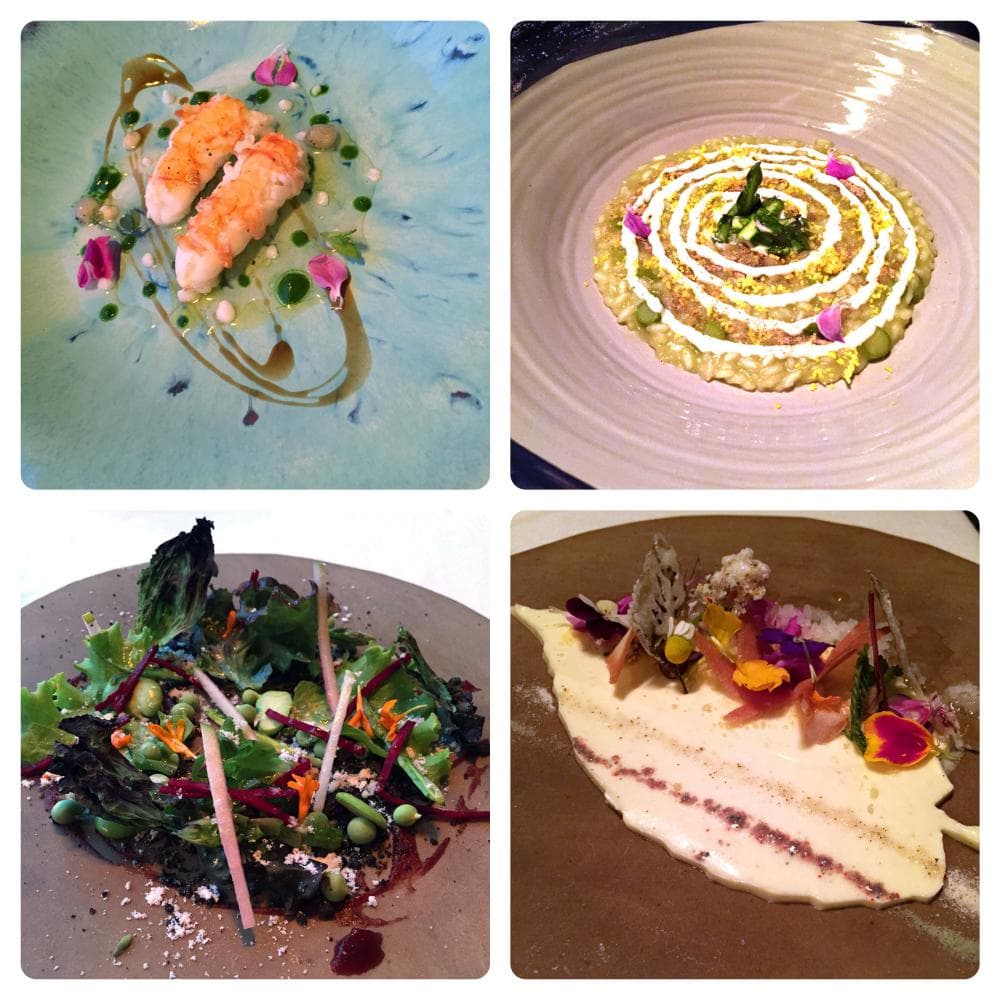 Andrea Mattei del Meo Modo e la supremazia dell’orto