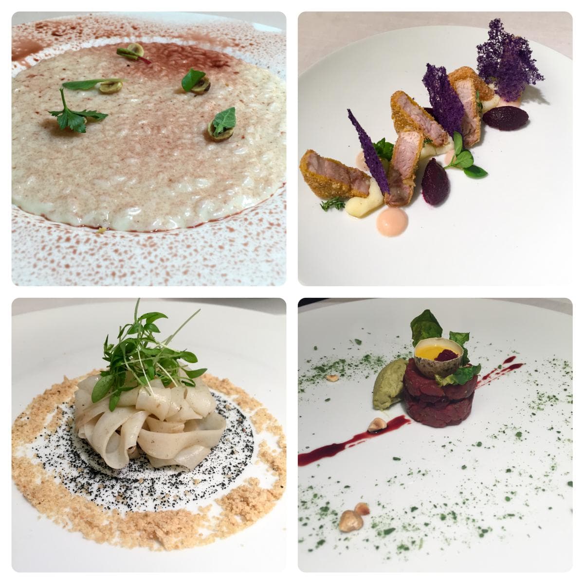 Grandi celebrazioni per la nocciola d’Alta Langa a Villa d’Amelia