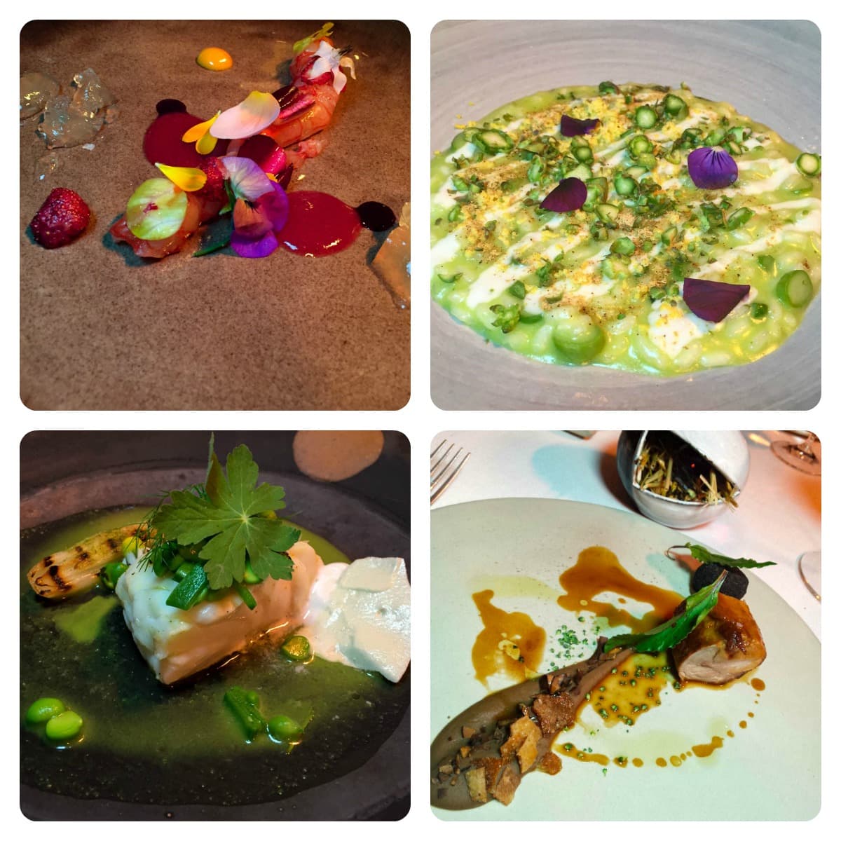 Anthony Genovese. Incursione armonica al Meo Modo di Andrea Mattei