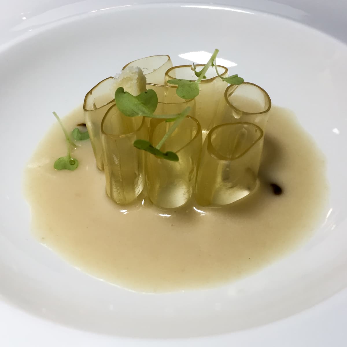 Mezza manica al brodo di prosciutto, torta fritta, ristretto al balsamico