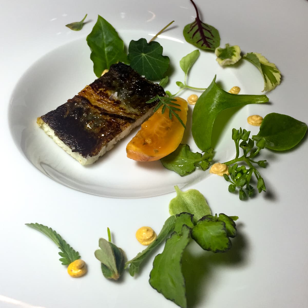 Anguilla, yogurt al pimento, pomodoro d'albero, foglie insolite