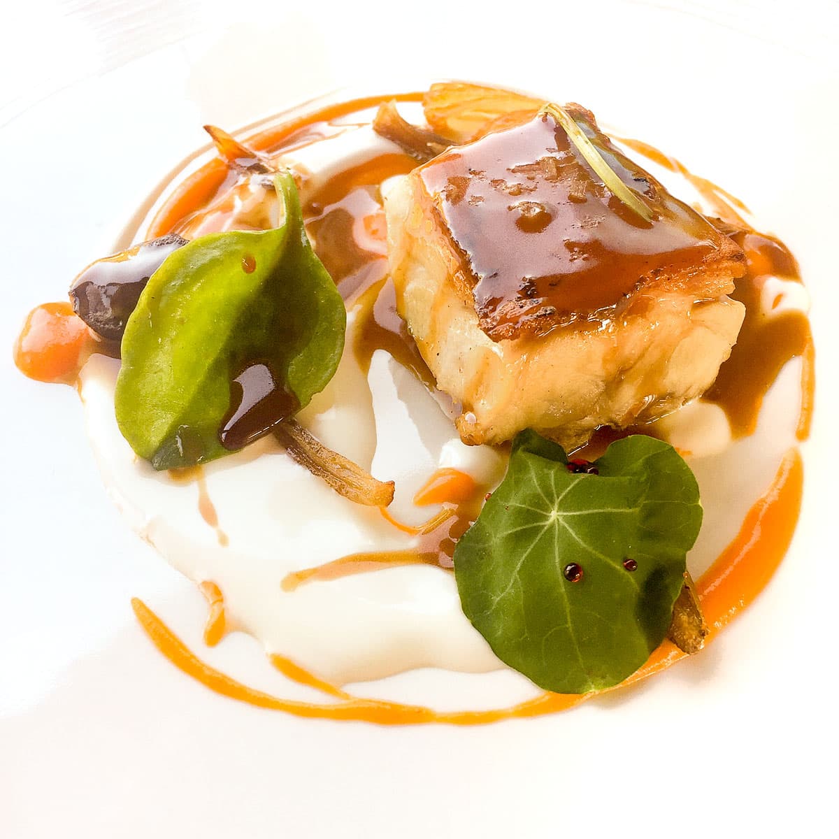 Maialino da latte, albicocca e yogurt, campari e scalogno