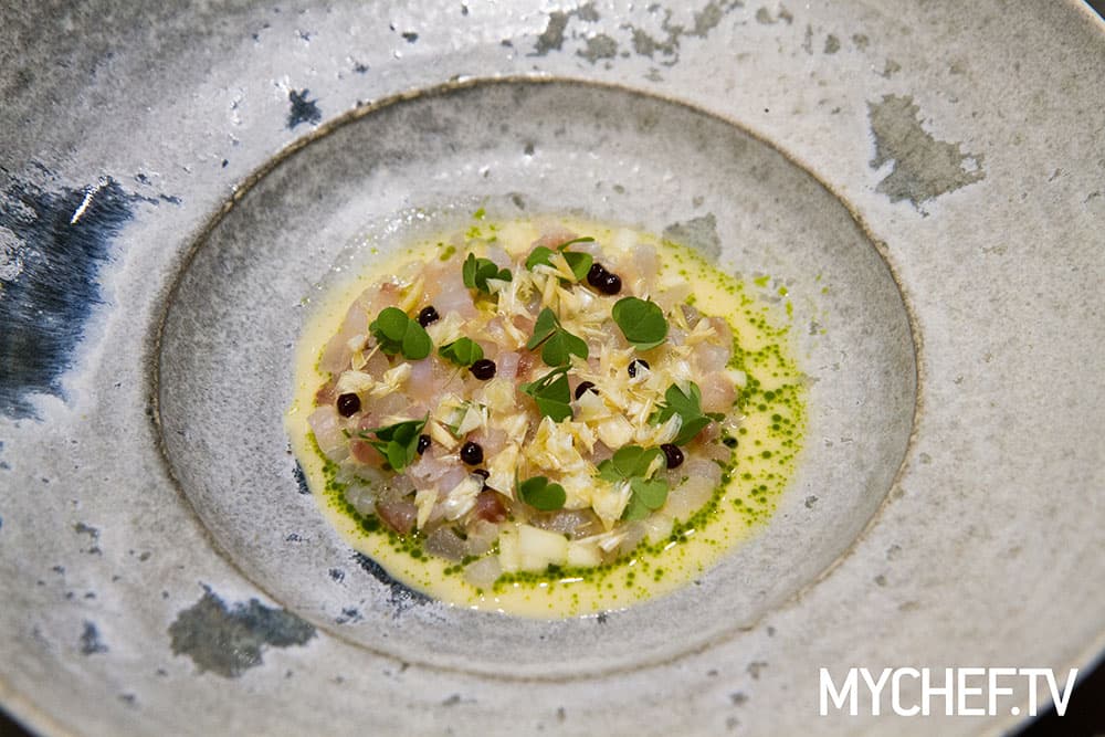 Cooking for Art 2016 Milano Piatti
