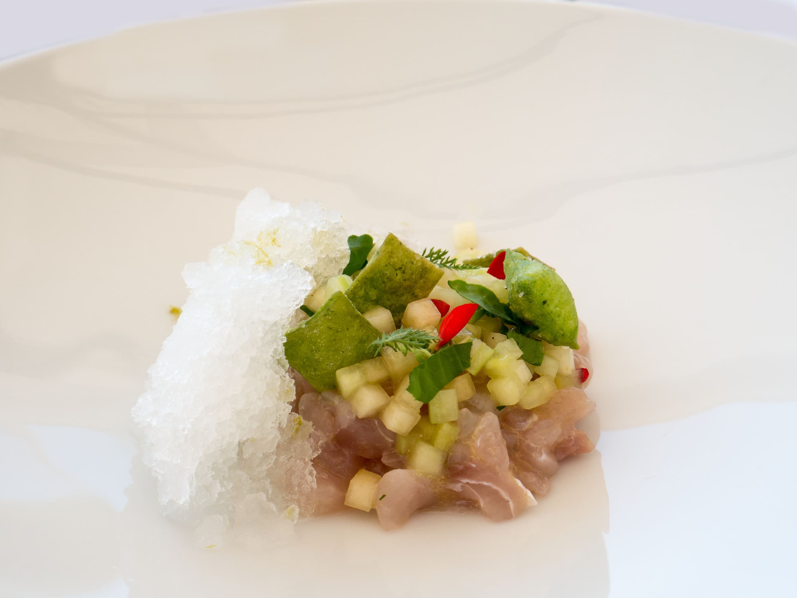 Ricciola, pesca, cetriolo, gin tonic