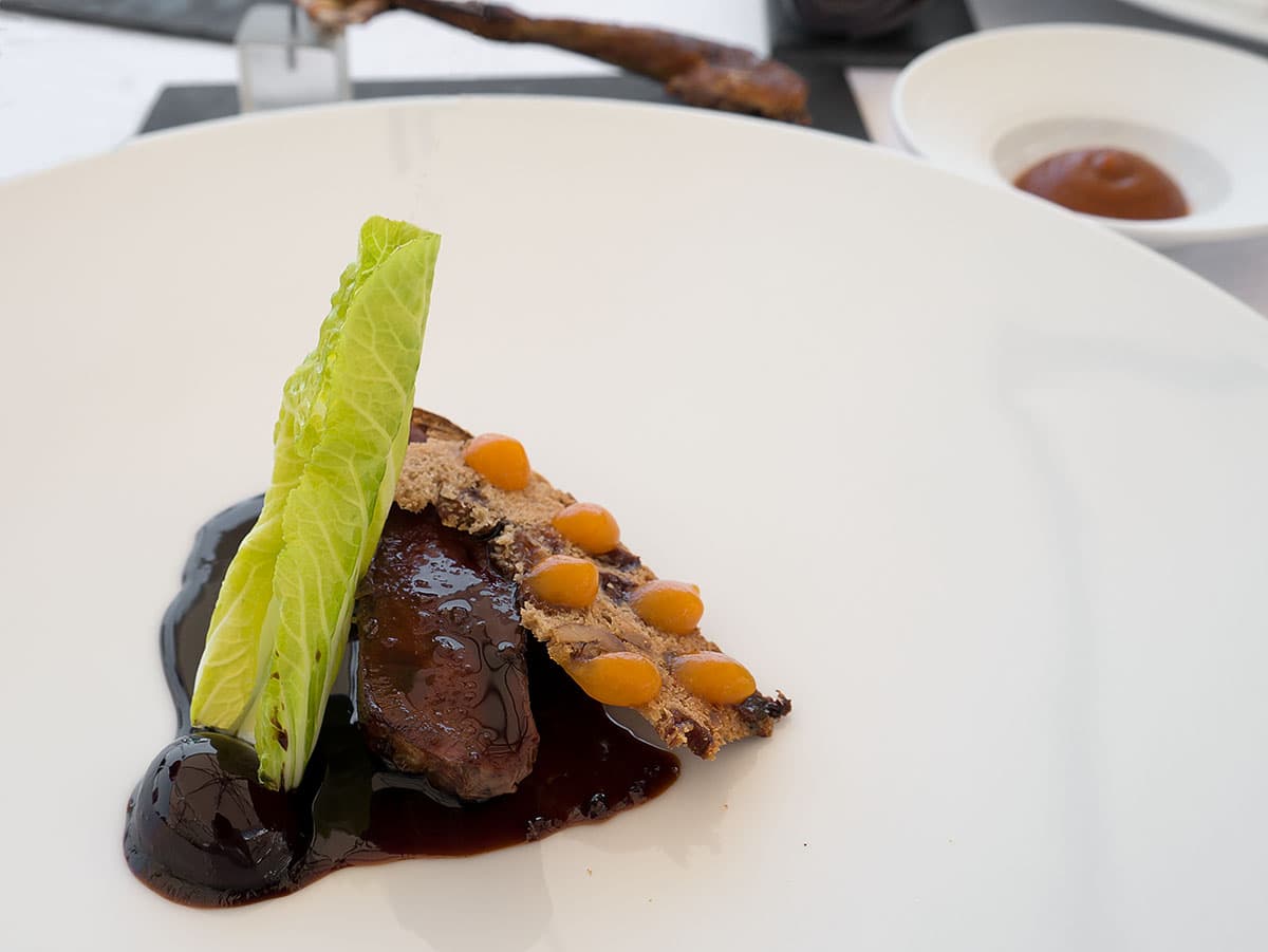 Piccione - petto e filetto, ciliegia, anice stellato, pan dei Santi con albicocche, pak choi