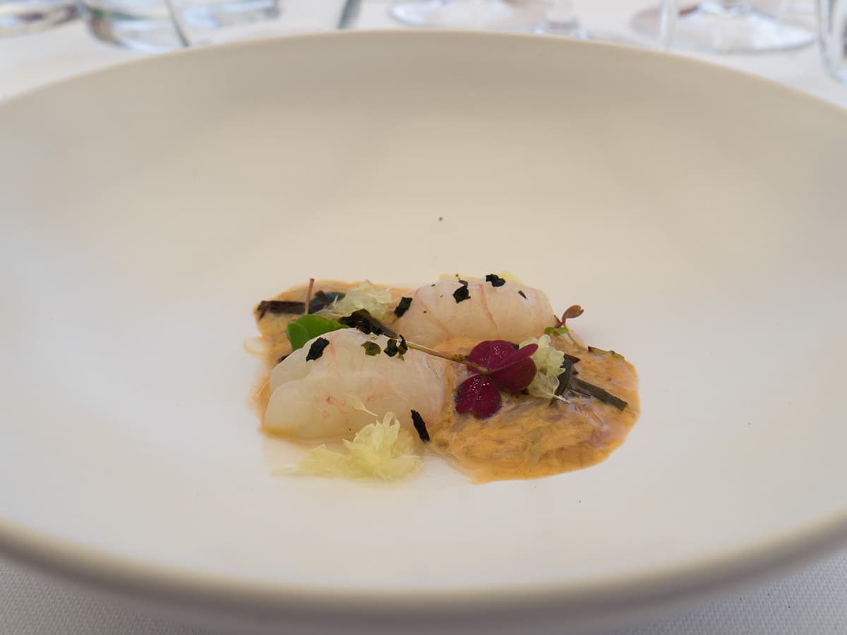 Scampi e teste di scampi