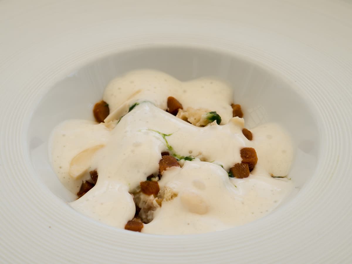 Pancotto con ricci di mare e mandorle