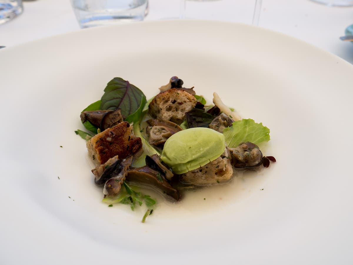Lumache, acqua di conditella, gelato di fave