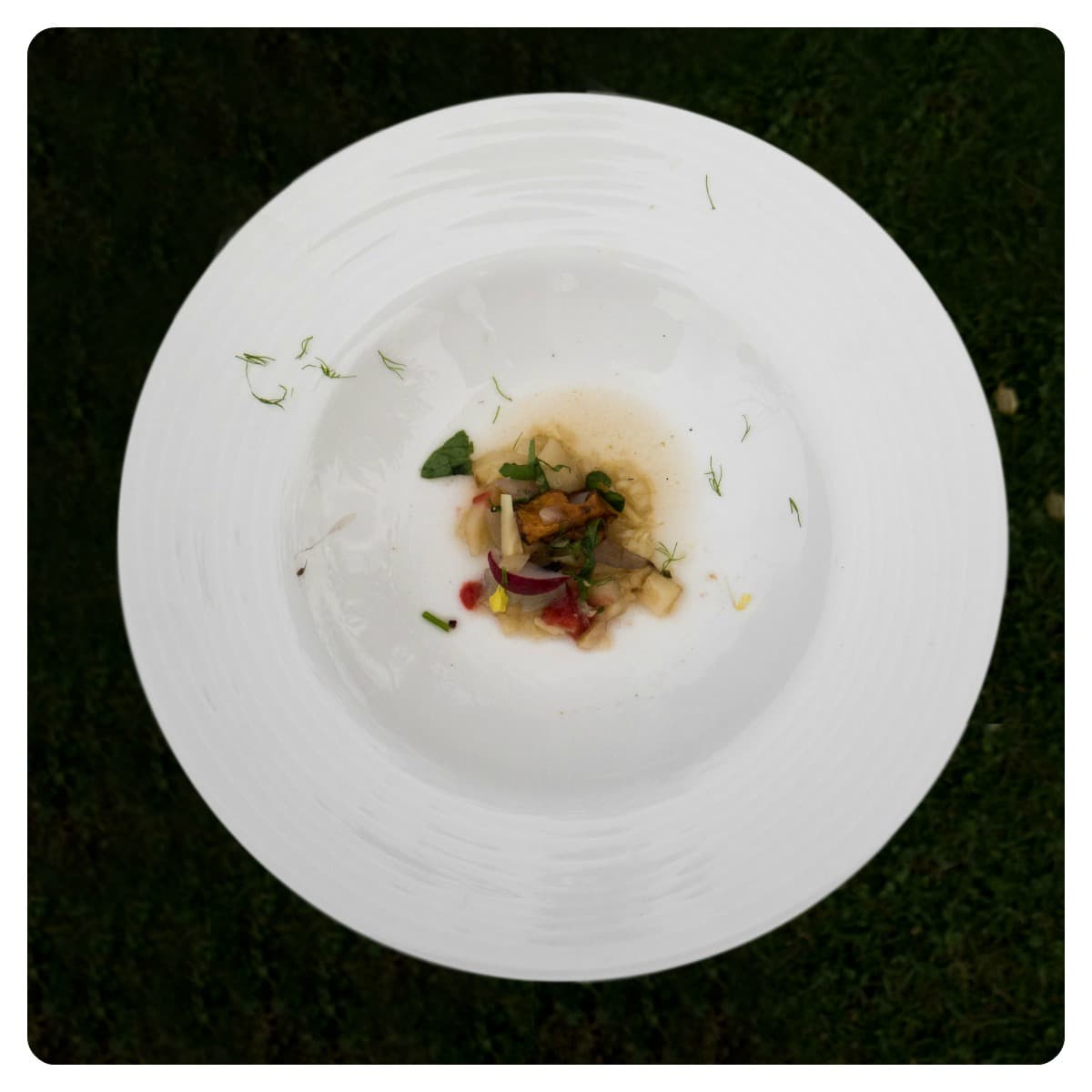 Andrea Mosca – Scorzanera alla brace, sedano rapa e prugne selvatiche