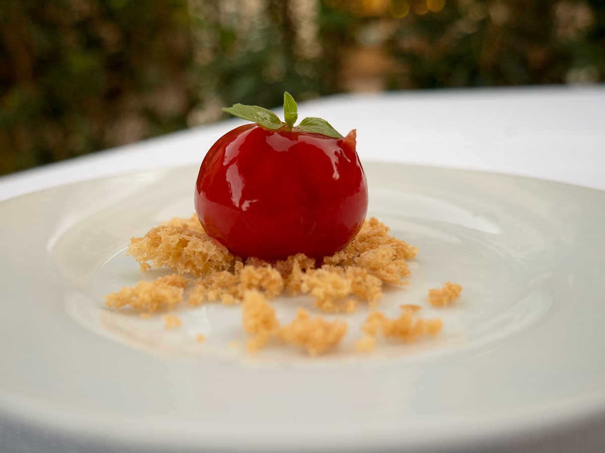 Pappa al pomodoro
