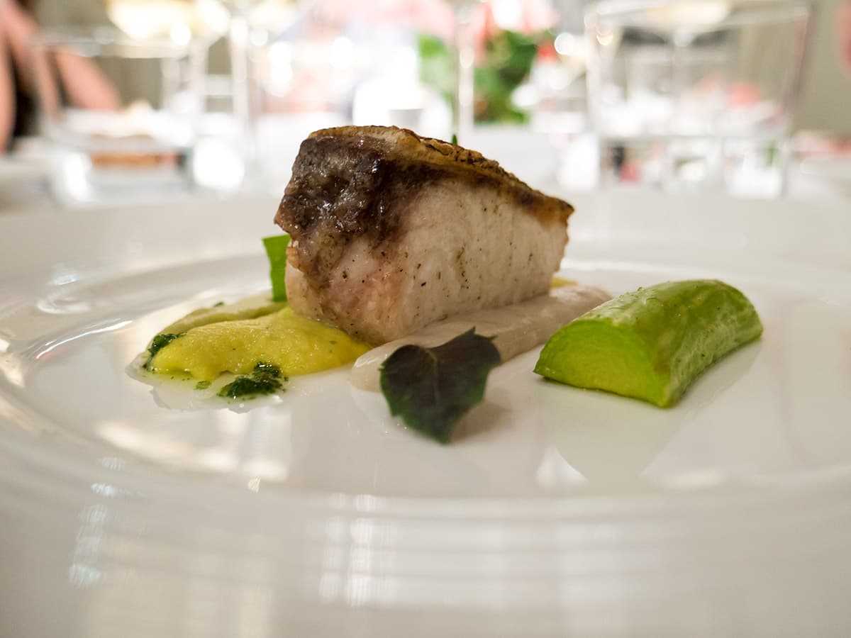 Nicola Portinari, cobia, zucchine gialle, cappelunghe