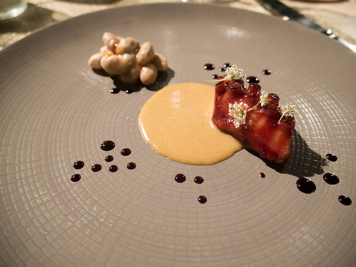 Polpo glassato al karkadè, emulsione di cozze, fagioli borlotti