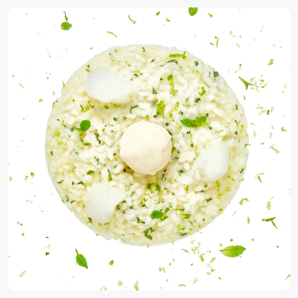 Biodinner – 25 settembre – Milano