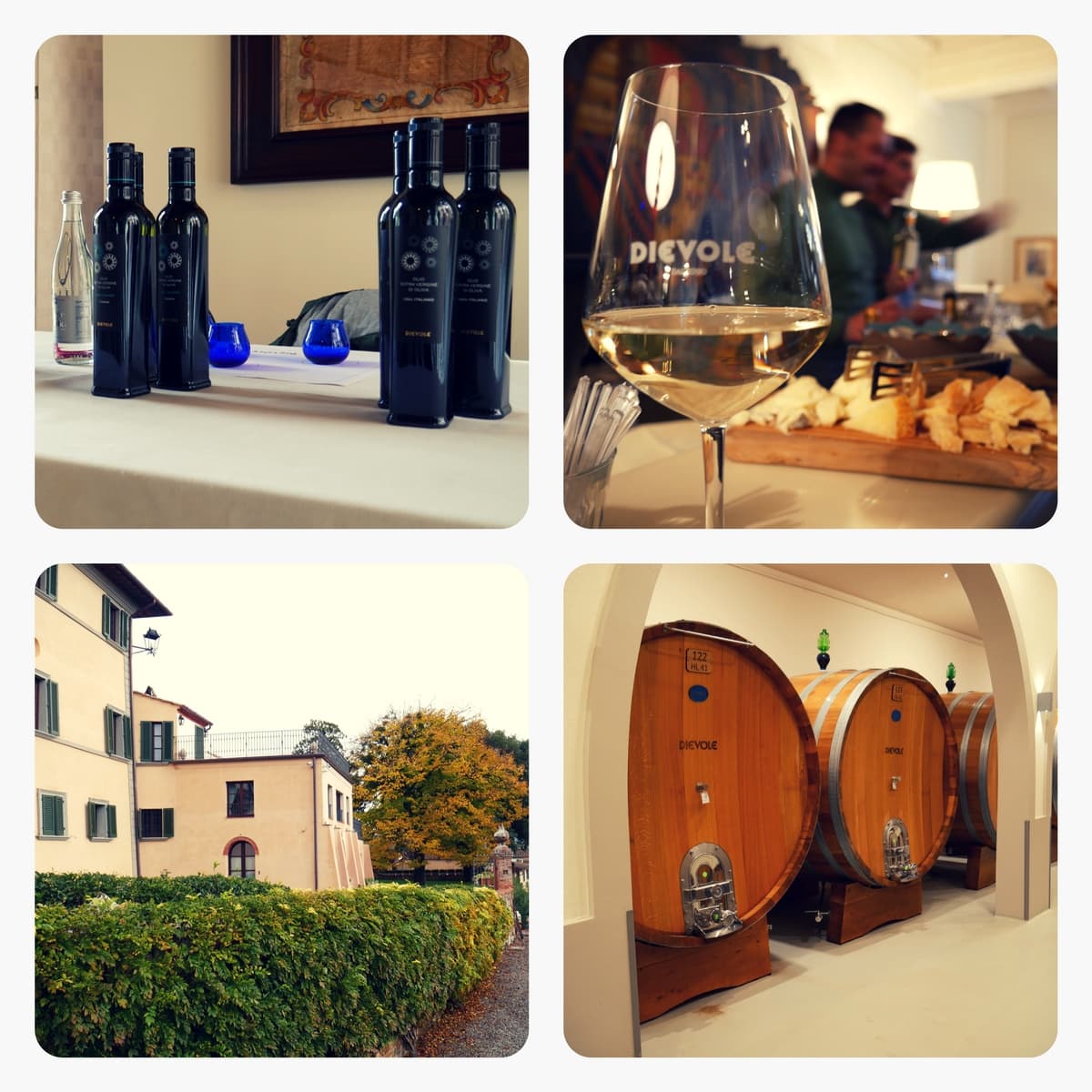 Dievole OlioDay 2017. Ecco come sarà l’olio quest’anno