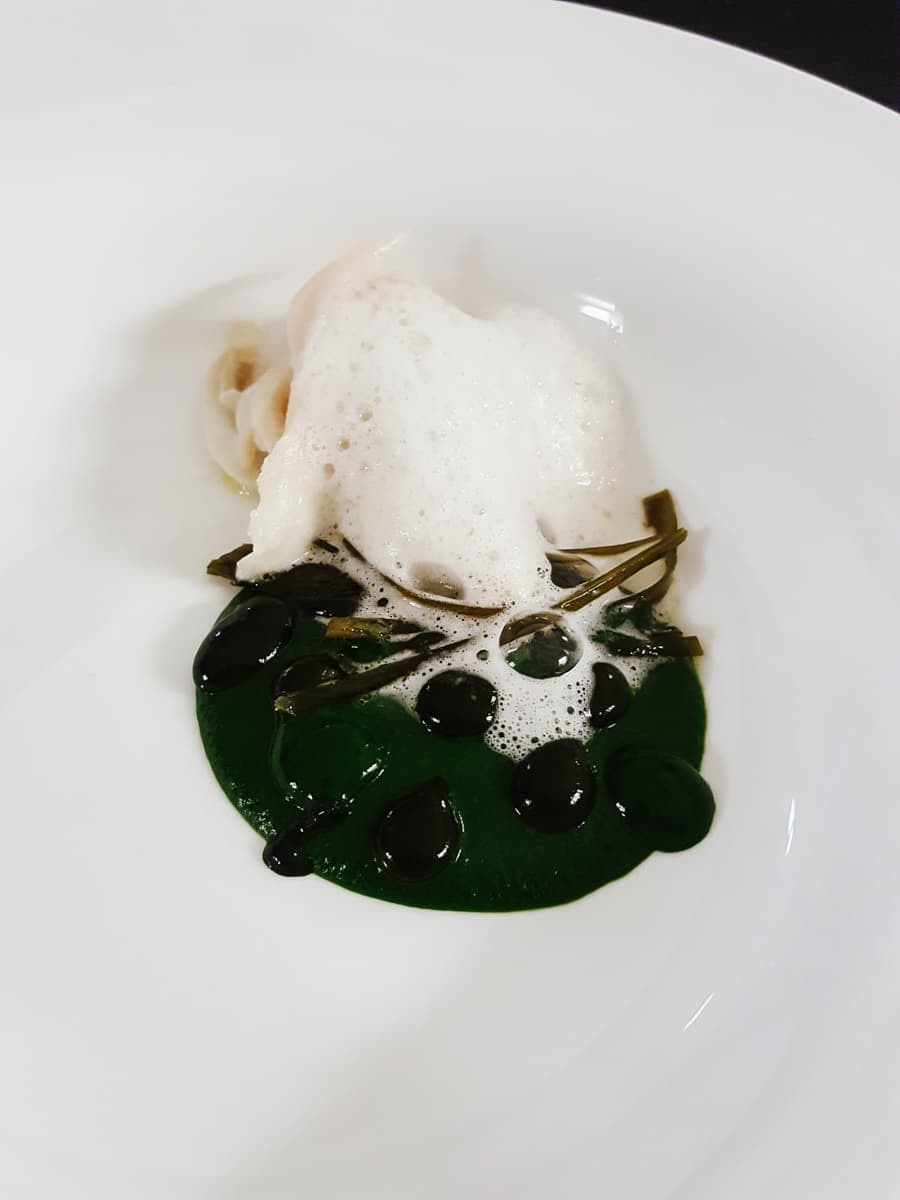 Razza, bietola, ortensia, alga