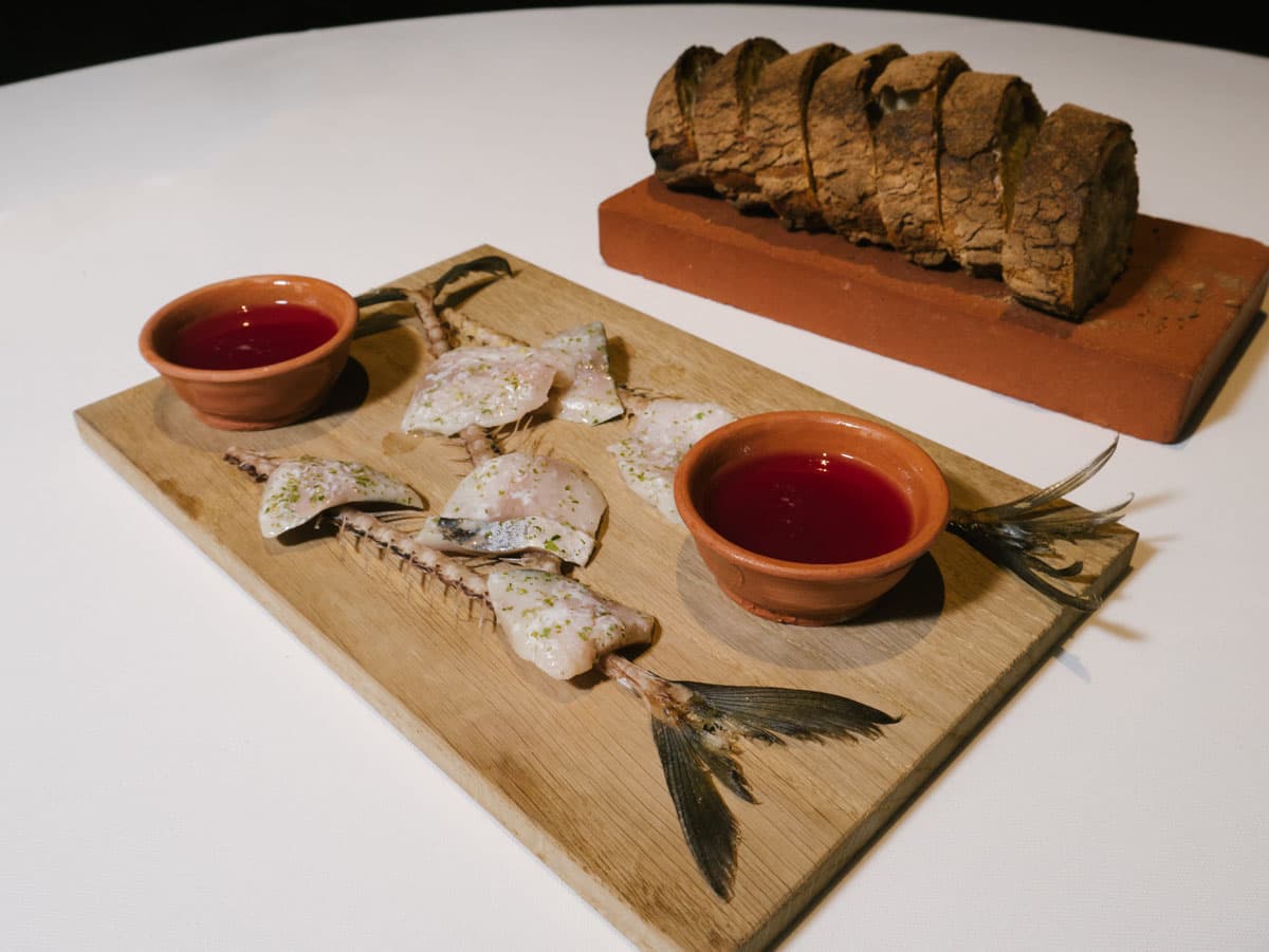Ceviche di sgombro e cocktail principio