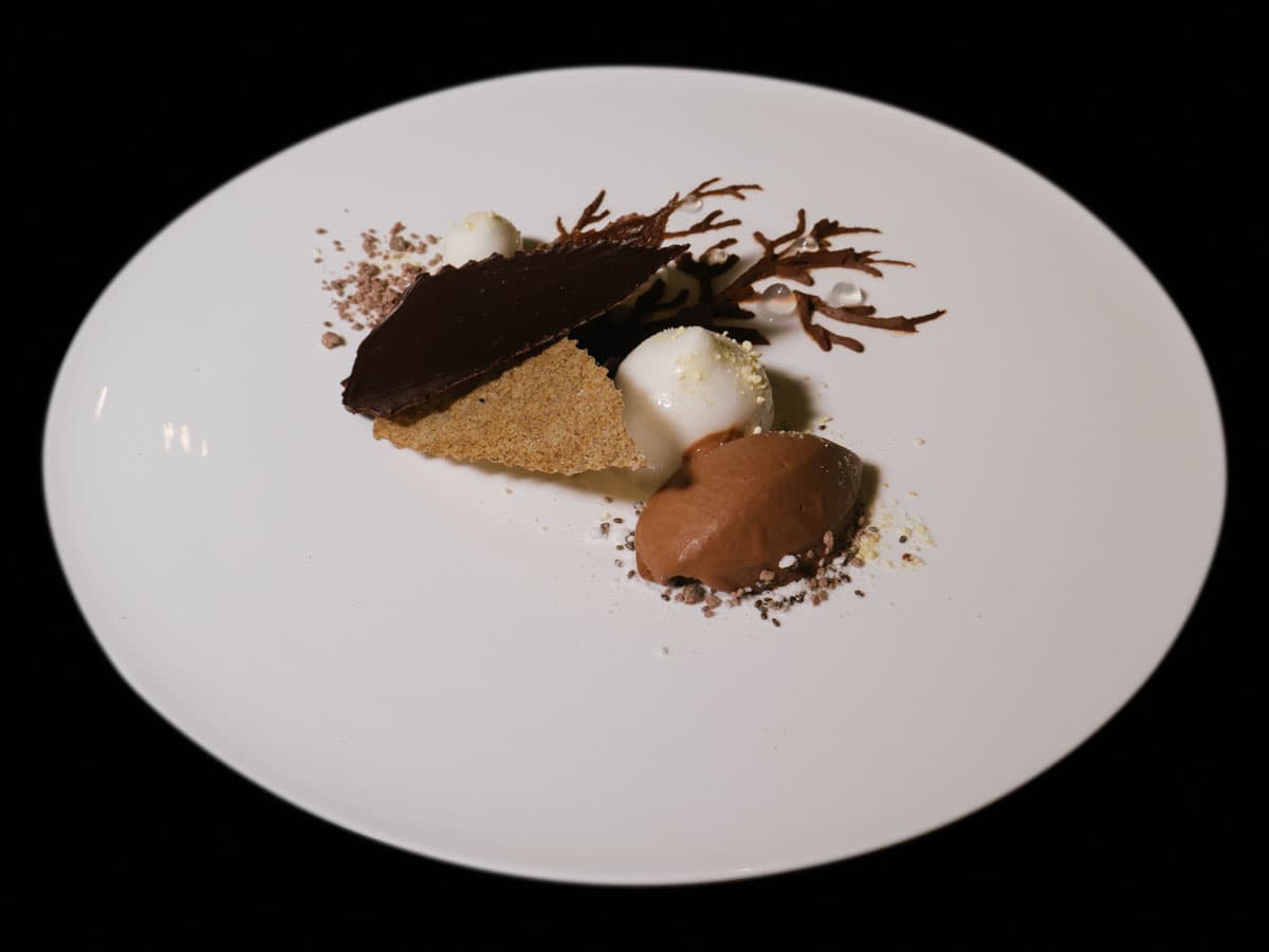 foglie di cioccolato Tien Giang