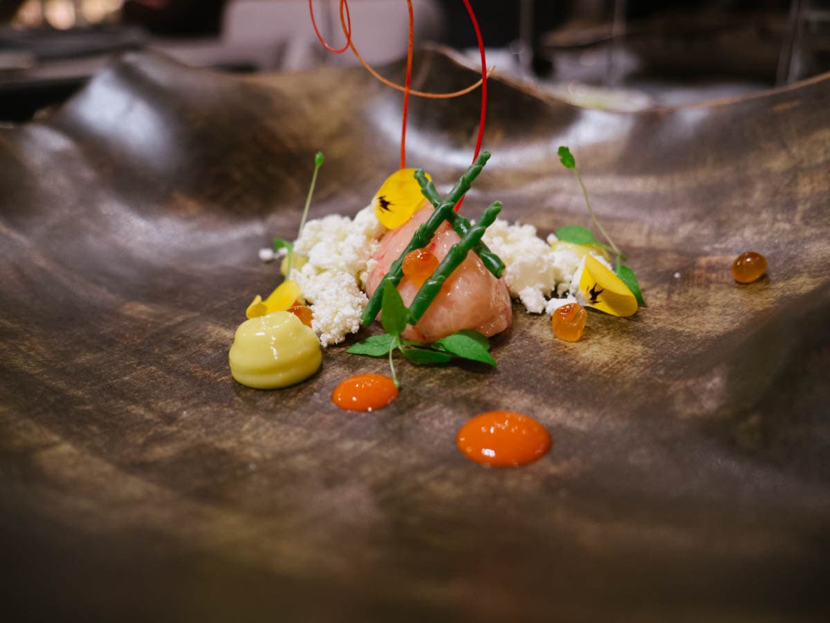 Tartare di gambero, polvere di Laudemio