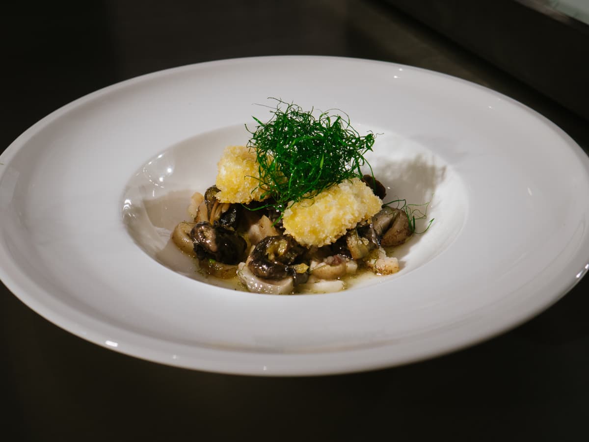 Lumache, salsa di cotiche, mozzarella