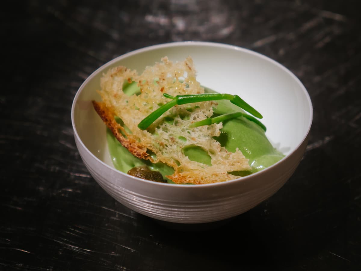 Gelato alle alghe, salicornia, capperi, pane