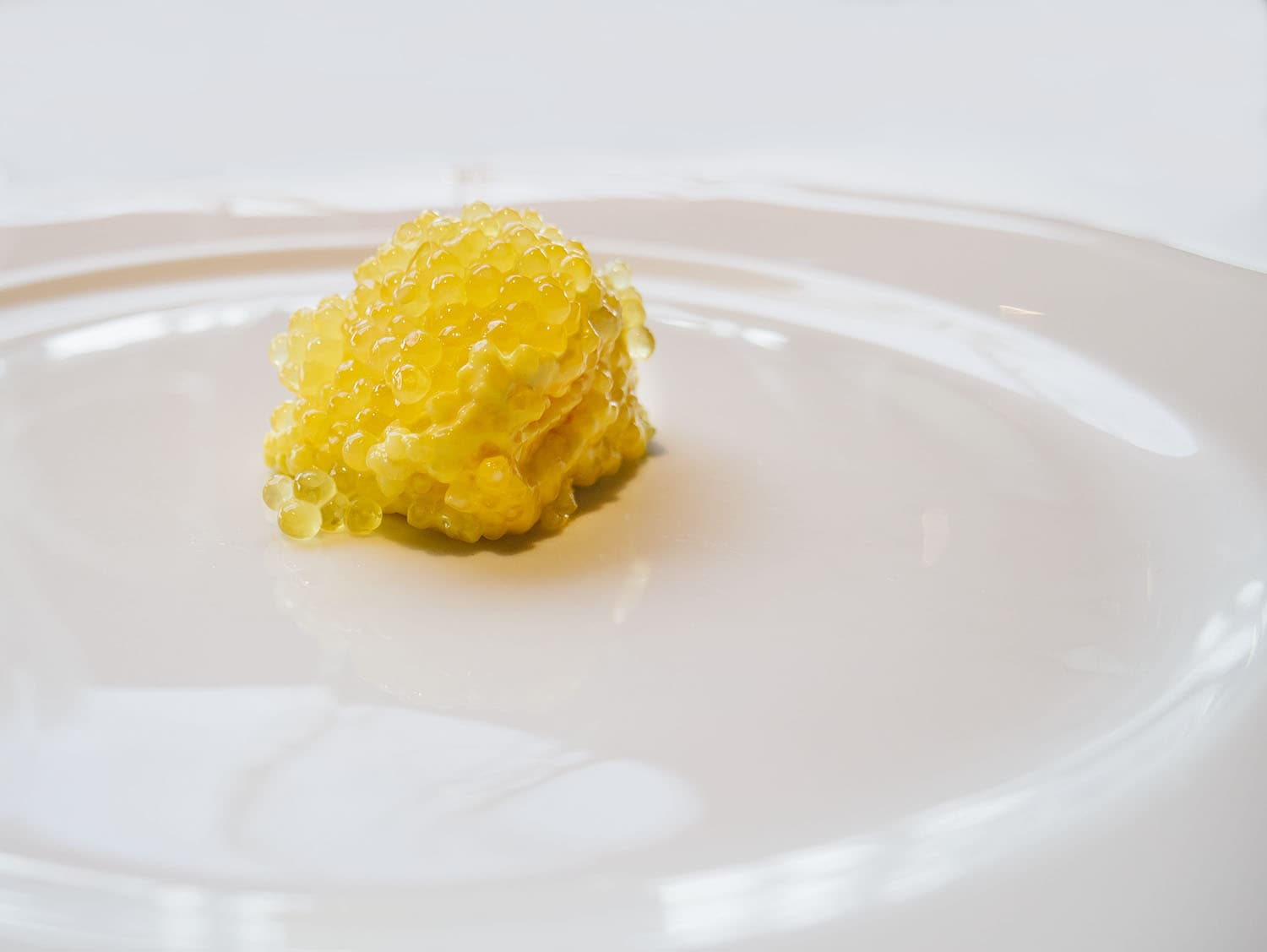 Tapioca, arancia, uova di salmerino