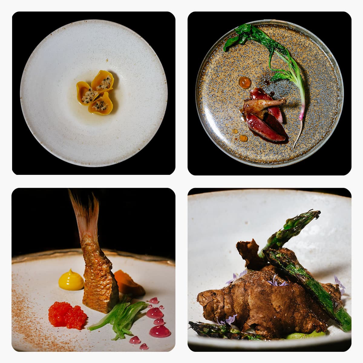 Il Virtuoso di Antonello Sardi. Quando l’aria di campagna esalta l’eleganza