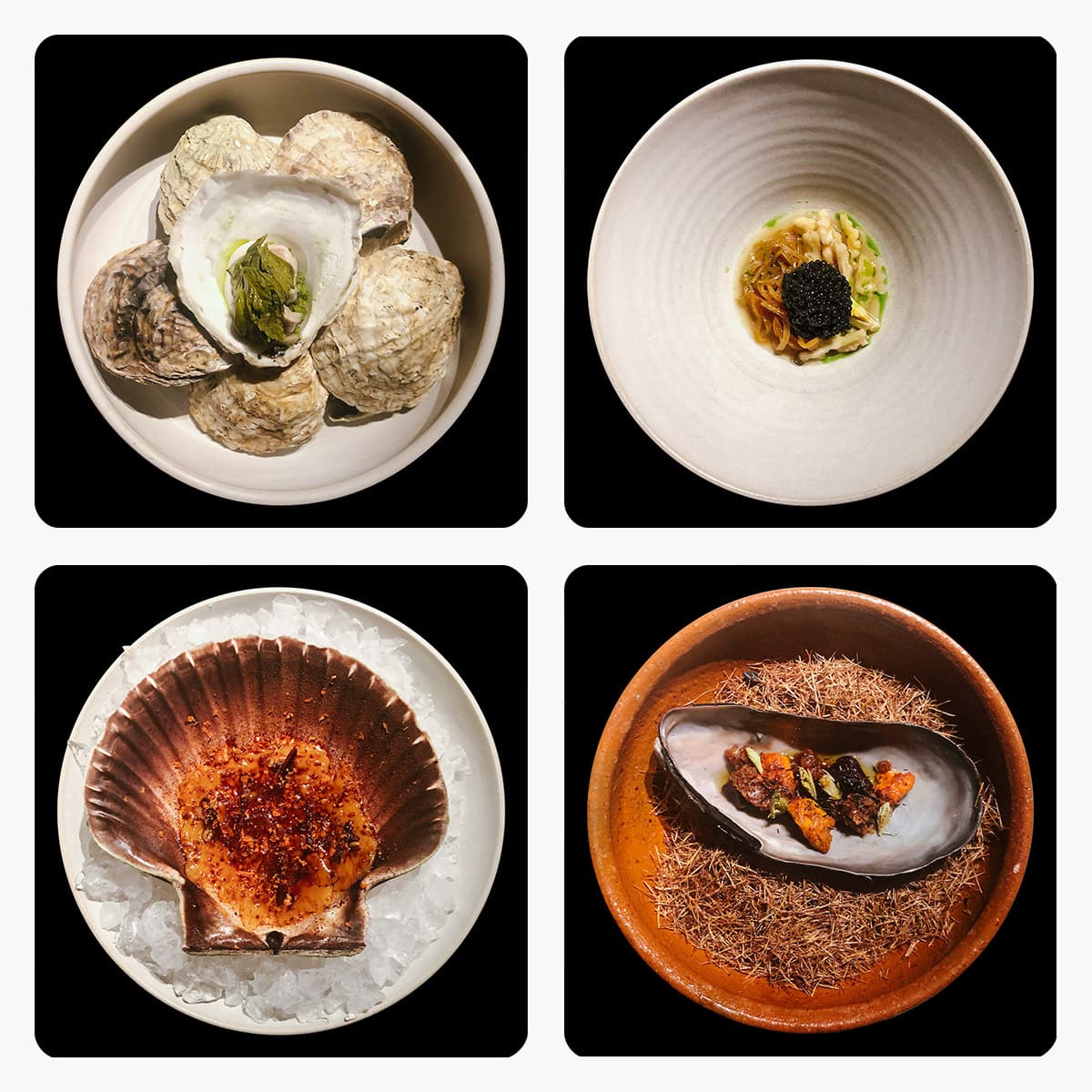 Il Kadeau di Copenhagen. Eleganza e raffinatezza della wild cuisine contemporanea