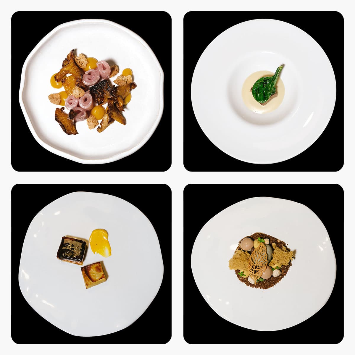 Una cucina entusiastica e di raffinata fattura al Paca di Prato