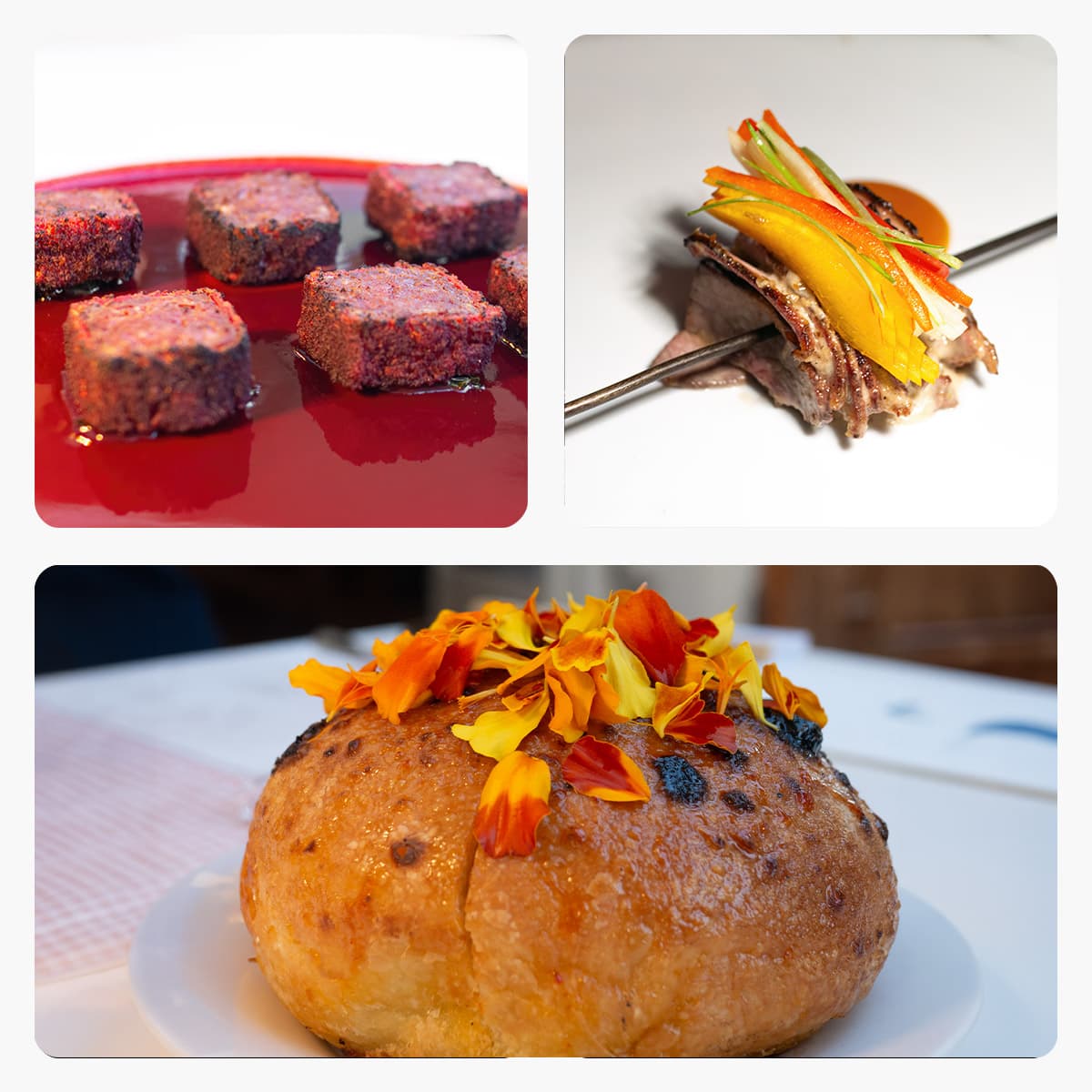 Al Gatto Verde a Casa Maria Luigia apre a Modena il 20 settembre