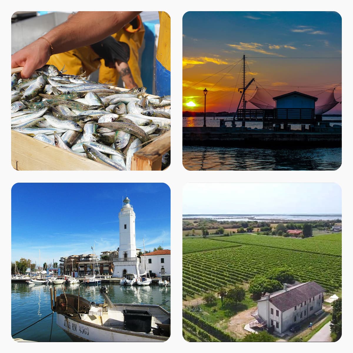 Vengono dal Mare – 8 aprile / 10 giugno – Costa Adriatica