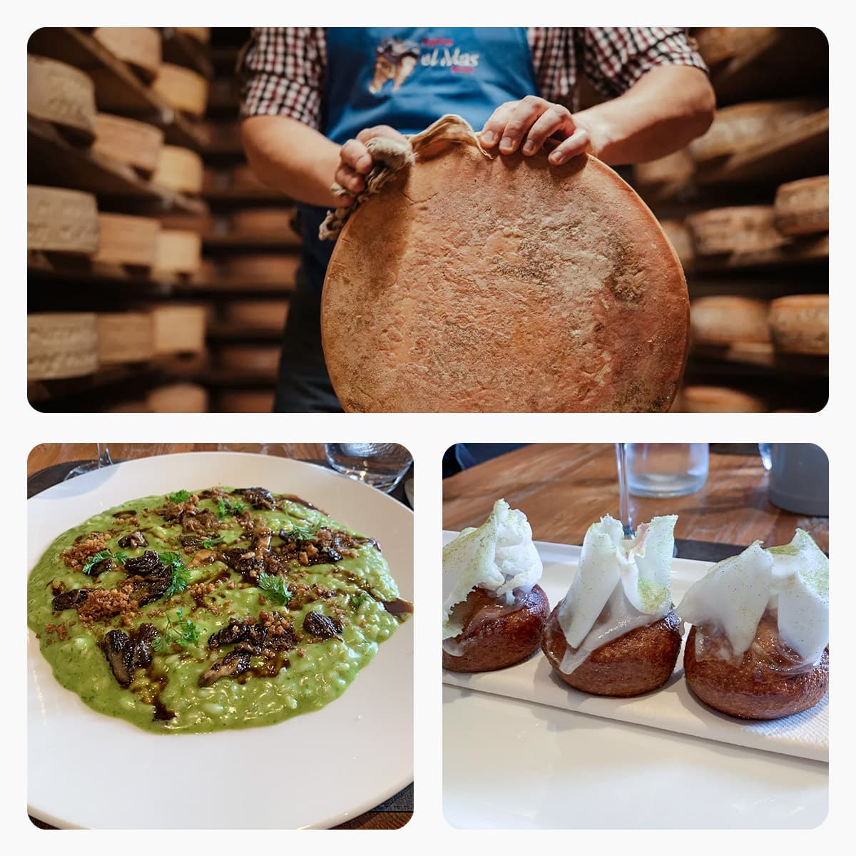 Coolcation con vista… stalla a Moena. L’Agritur El Mas reinventa la montagna tra sapori autentici e sostenibilità circolare e consapevole