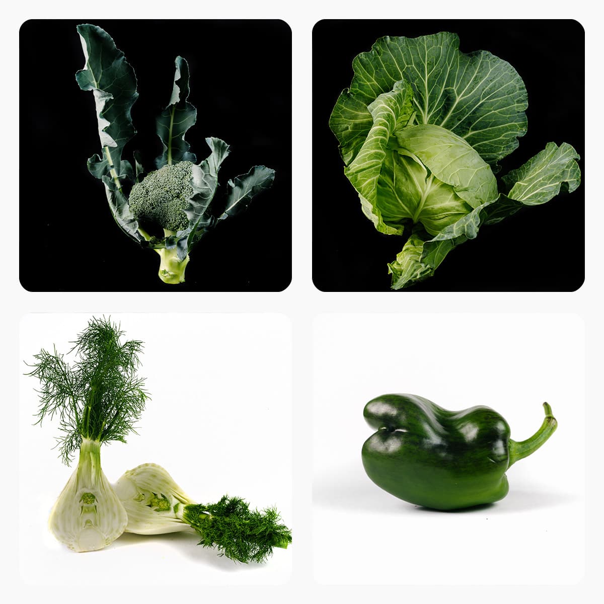 Si può migliorare e riaccendere il senso del gusto?