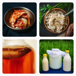 Perché siamo tutti pazzi per i cibi fermentati (e cosa ne pensa la scienza)