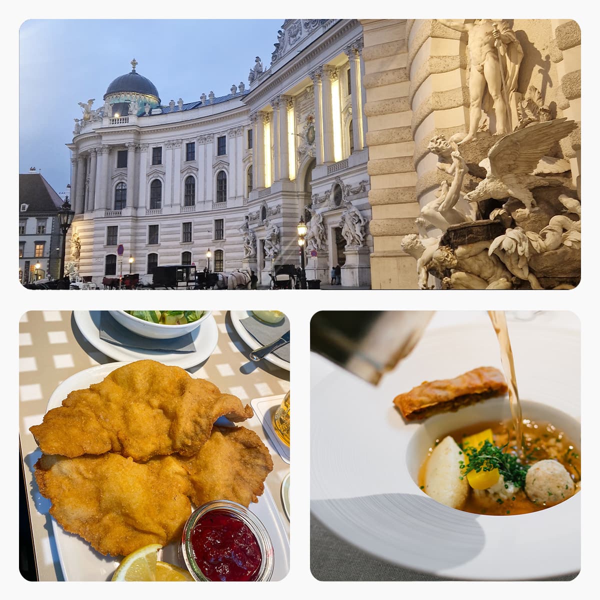 La Vienna gastronomica. Dal brodo primordiale alle avanguardie pluristellate