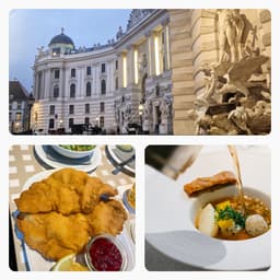 La Vienna gastronomica. Dal brodo primordiale alle avanguardie pluristellate